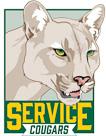 Service HS 