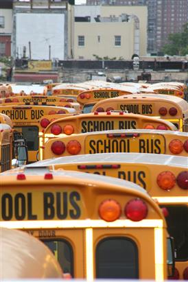  School busses 