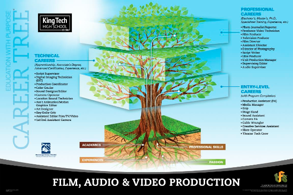 Film, Audio & Video Production career tree 