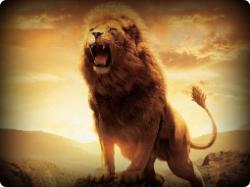 lions-roaring-wallpaper-1-250x187.jpg