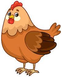  cartoon chicken