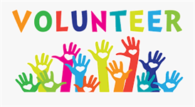  Volunteer