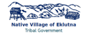 Native Village logo 