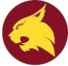 dimond alumni logo