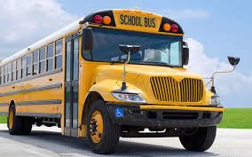 bus bus