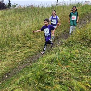 Running Downhill