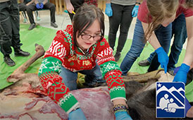  Moose Harvesting Students