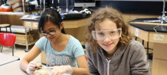 students participate in cow eyeball dissection 