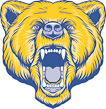 bartlett bears logo 