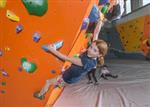 climbing 