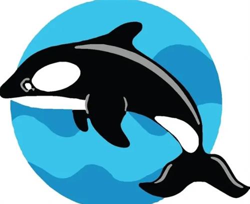 Orca