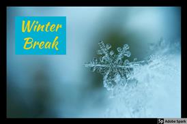  Snowflake