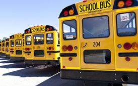  row of school buses