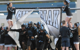  FOOtbaLL PLAYers running on the field