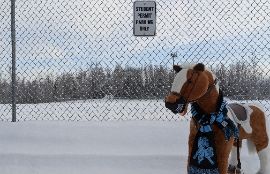 Mascot Maurice looking at the student parking sign