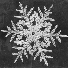  snowflake