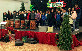  Dimond Mall Performance
