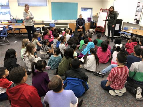 Titus the pig visits 